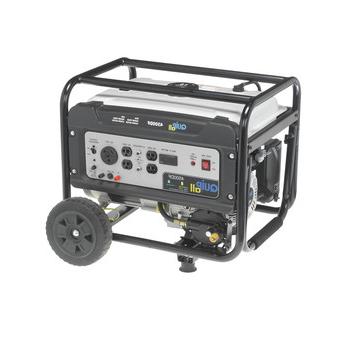便携式发电机| Quipall 4500DF双燃料便携式发电机(CARB)